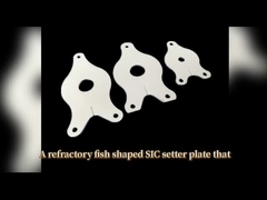 Đĩa đặt cá Silicon Carbide lửa để ngâm đồ dùng bàn